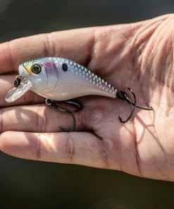 6th Sense Fishing Collections Munch - Shad Scales