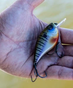 6th Sense Fishing Crush Flat 75X - 4K Bluegill