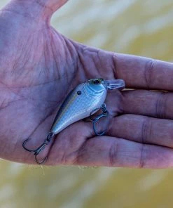 6th Sense Fishing Crush Mini 25X - Threadfin Shad Sale