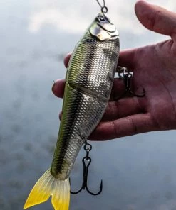 6th Sense Fishing Lee Livesay Collection The Draw - Shad Burst