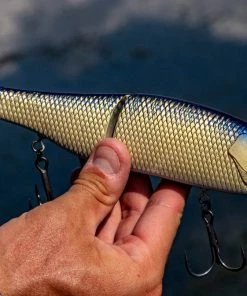 6th Sense Fishing The Draw - Live Shiner