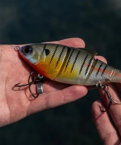 6th Sense Fishing Deals Trace - Bluegilla