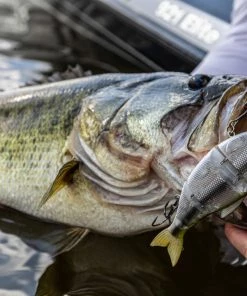 6th Sense Fishing Trace - Shad Burst