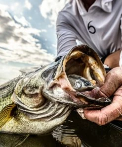 6th Sense Fishing Trace - Shad Burst