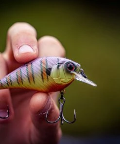 6th Sense Fishing Crush - Clown Gill Sale