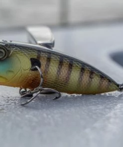 6th Sense Fishing Sale SplashBack Popper - Bluegill Fire