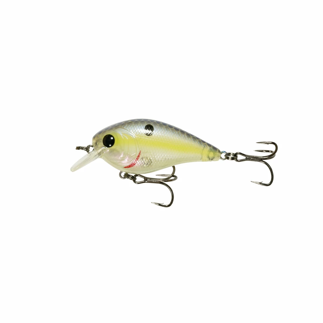 6th Sense Fishing Crush Mini 25X - Ghost Sexified Shad Deals 3 6th Sense Fishing Crush Mini 25X - Ghost Sexified Shad Deals