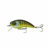 6th Sense Fishing Movement 80X - Gilliken Sale