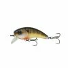 6th Sense Fishing Movement 80X - Cajun Gill Sale 1 6th Sense Fishing Movement 80X - Cajun Gill Sale