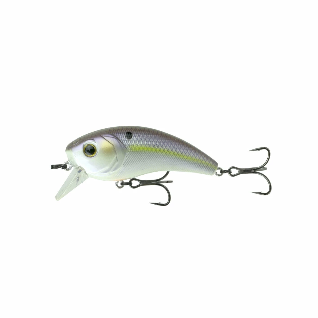 6th Sense Fishing Movement 80X - Wild Shad Deals 3 6th Sense Fishing Movement 80X - Wild Shad Deals