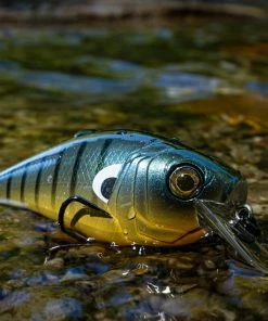 6th Sense Fishing MiniMag SB - Backwater Bluegill Sale