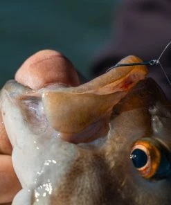 6th Sense Fishing Drop Shot Hook