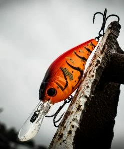 6th Sense Fishing Cloud 9 - Boiled Crawfish