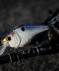 6th Sense Fishing MiniMag SB - Shad Scales