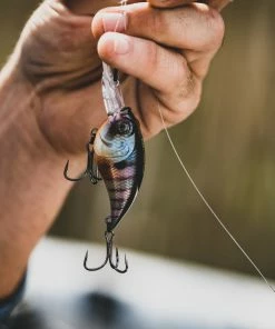 6th Sense Fishing Curve 55 - Bluegill Spawn