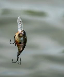 6th Sense Fishing Curve 55 - Bluegill Spawn