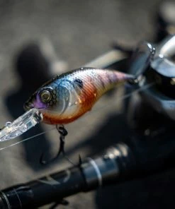 6th Sense Fishing Curve 55 - Bluegill Spawn