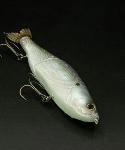 6th Sense Fishing The Draw - Live Ghost Threadfin