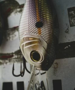6th Sense Fishing Cloud 9 - Gizzard Shad