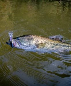 6th Sense Fishing Cloud 9 - 4K Shad