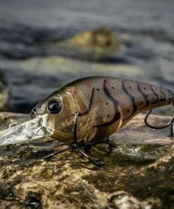 6th Sense Fishing Cloud 9 - Ghost Melon Crawfish Sale