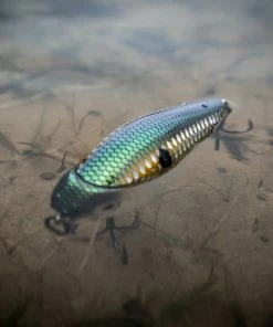 6th Sense Fishing MiniMag SB - Ghost Shad Scales Deals