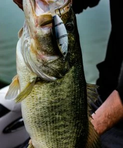 6th Sense Fishing Lee Livesay Collection Trace - 4K Shad