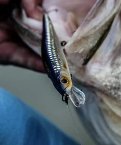 6th Sense Fishing Provoke 106X - Live Shiner