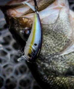 6th Sense Fishing Sale Movement 80X - Shad Sense