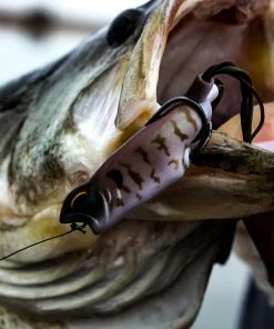 6th Sense Fishing Vega Frog - GOAT 8 6th Sense Fishing Vega Frog - GOAT