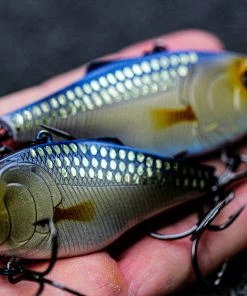 6th Sense Fishing Quake - Live Shiner Deals