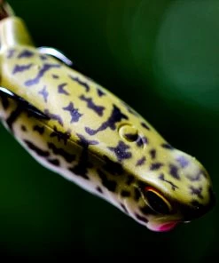 6th Sense Fishing Vega Frog - Baby Bullfrog 7 6th Sense Fishing Vega Frog - Baby Bullfrog