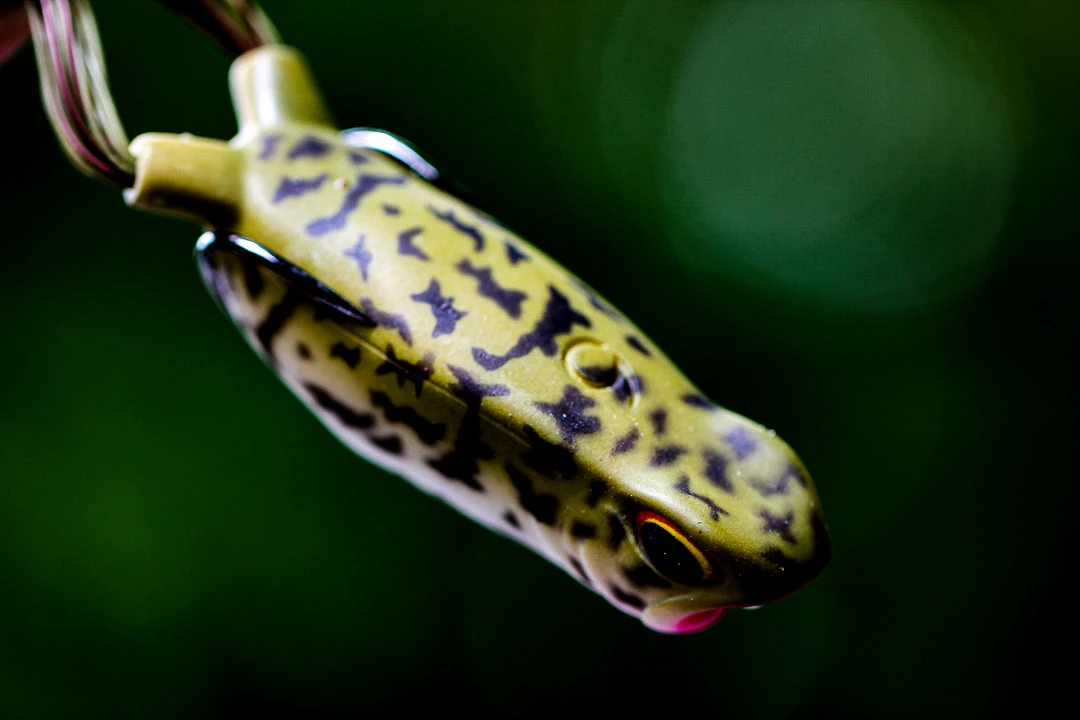 6th Sense Fishing Vega Frog - Baby Bullfrog 5 6th Sense Fishing Vega Frog - Baby Bullfrog