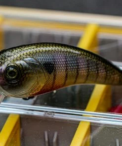 6th Sense Fishing Deals Movement 80X - Bluegill Spawn