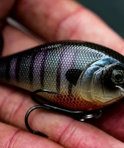 6th Sense Fishing Crush - Bluegill Spawn Deals