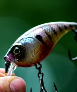 6th Sense Fishing Curve Finesse Squarebill - Bluegill Spawn Deals