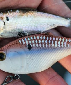 6th Sense Fishing Sale Quake - 4K Gizzard