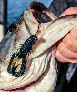 6th Sense Fishing Soft Plastics Stroker Craw - Black N Blue Flake