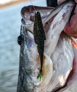 6th Sense Fishing Flush 5.2 - Watermelon Candy Magic