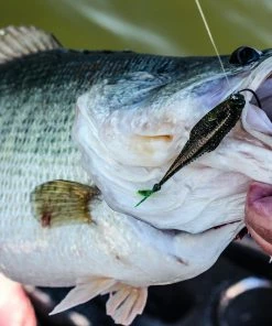 6th Sense Fishing Flush 5.2 - Bluegill Magic