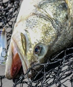 6th Sense Fishing Swank 66X - Rayburn Ghost Collections