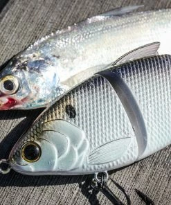 6th Sense Fishing Lee Livesay Collection Trace - 4K Shad