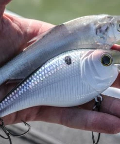 6th Sense Fishing Deals Magnum SB - Shad Scales