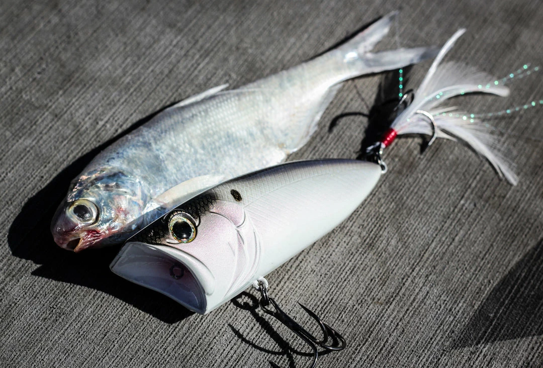 6th Sense Fishing SplashBack Popper - 4K Shad 6 6th Sense Fishing SplashBack Popper - 4K Shad