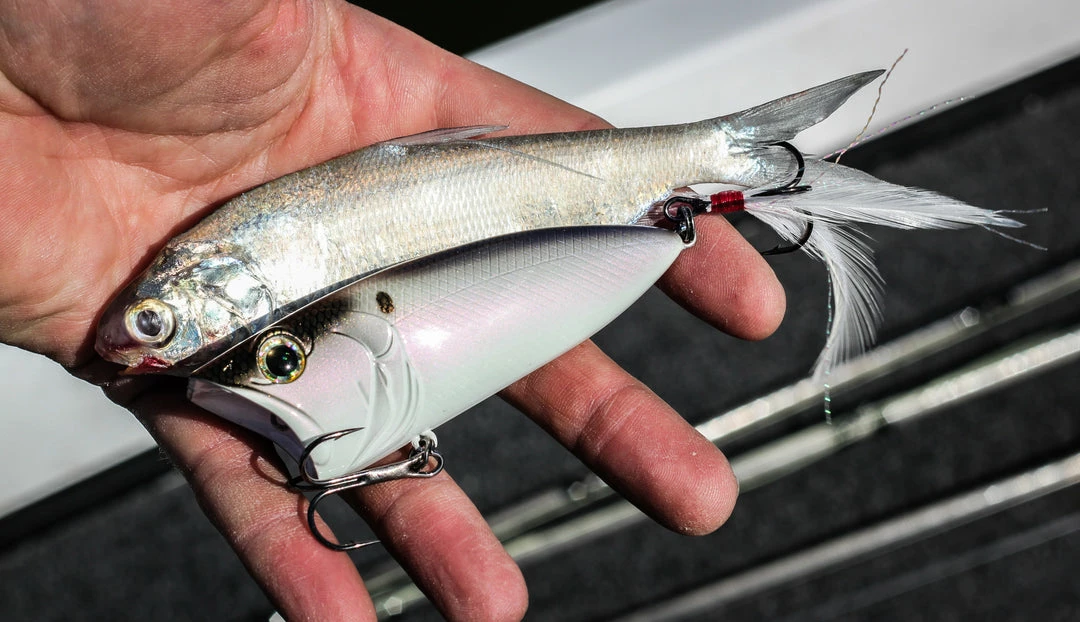 6th Sense Fishing SplashBack Popper - 4K Shad 4 6th Sense Fishing SplashBack Popper - 4K Shad