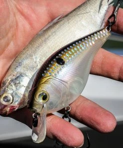 6th Sense Fishing MiniMag SB - Ghost Shad Scales Deals