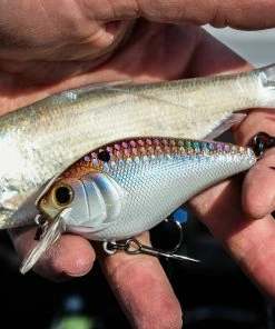 6th Sense Fishing Sale Crush - 4K Gizzard