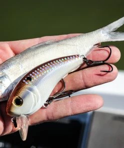 6th Sense Fishing Movement 80X - 4K Gizzard