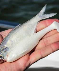 6th Sense Fishing Whale 4.5 Swimbait - Pearl White