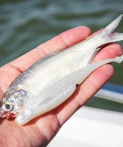 6th Sense Fishing Flush 5.2 - Shad Pearl